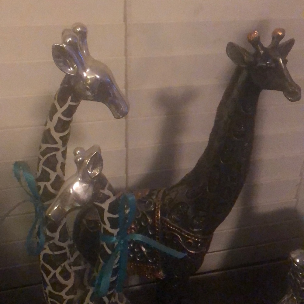 Meet your Posher, Judy